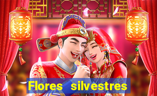 Flores silvestres brasileiras brasileiras flores silvestres nomes e imagens